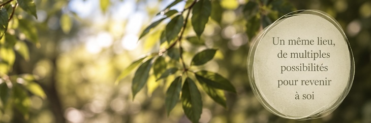 Feuillage lumineux, ambiance naturelle de L’Écrin des Sapins